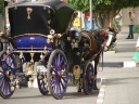 Luxor city street.What did you just say to me.jpg